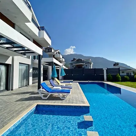 Nokta Park I 4+1 Villa, Oezel Havuzlu 别墅 费特希耶