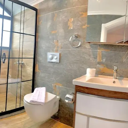 Nokta Park I 4+1 Villa, Oezel Havuzlu Villa